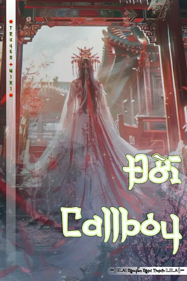 Đời Callboy